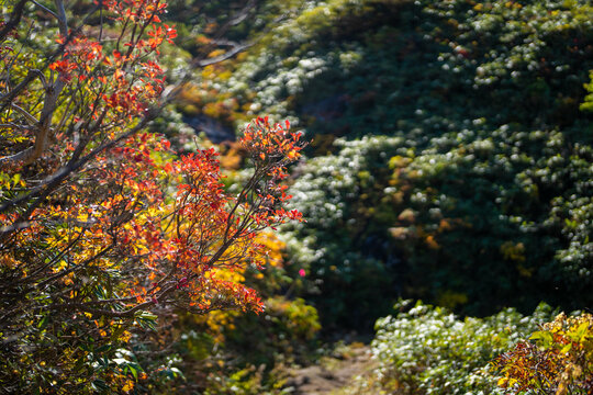 3 267 Best Sunken City Images Stock Photos Vectors Adobe Stock