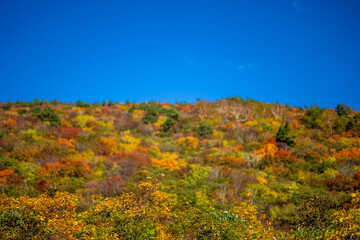 宮城県栗原市、秋田県湯沢市、雄勝郡東成瀬村、岩手県一関市にある栗駒山を紅葉の時期に登山する風景A view of climbing Mt. Kurikoma in Kurihara City, Miyagi Prefecture, Yuzawa City, Akita Prefecture, during the autumn foliage season.