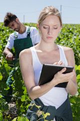 woman using a tablet while working on vineyard