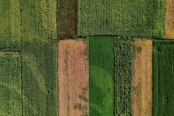 Aerial view of farming fields in a rural area. Abstract agricultural landscape pattern in cropland.