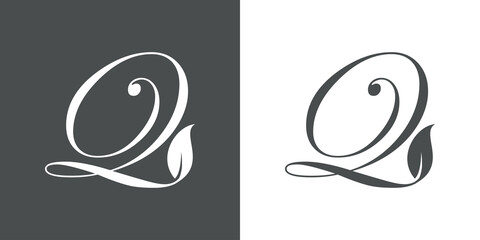 Logotipo letra inicial Q con hojas de planta en fondo gris y fondo blanco - obrazy, fototapety, plakaty