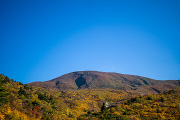 Naklejka premium 宮城県栗原市、秋田県湯沢市、雄勝郡東成瀬村、岩手県一関市にある栗駒山を紅葉の時期に登山する風景A view of climbing Mt. Kurikoma in Kurihara City, Miyagi Prefecture, Yuzawa City, Akita Prefecture, during the autumn foliage season.