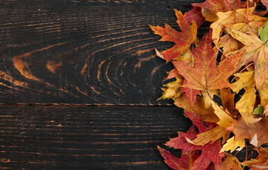orange autumn fallen leaves on a dark, textured vintage rustic wooden background. View from above....