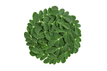 Moringa green leaves isolated on white background with clipping path.top view,flat lay.
