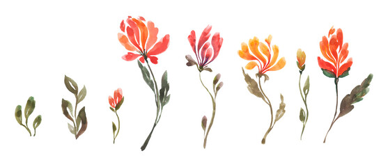 Abstract floral watercolor paintings. watercolor hand drawn flowers