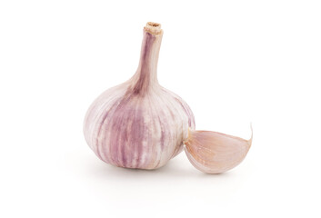Garlic or Allium sativum isolated on white background with clipping path.