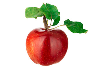 Vibrant red apple with green leaves isolated on white.