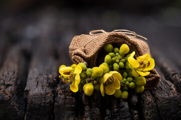 Siamese senna branch green leaves and flowers on nature background.
