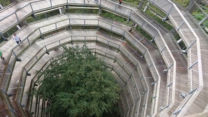 Baumwipfelpfad Insel R&uuml;gen