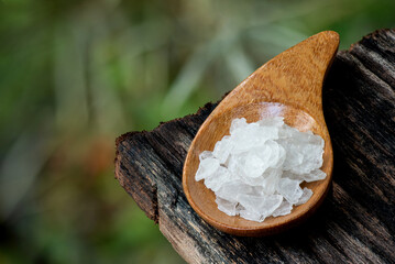 Borneol camphor ,crystal on an old wood and on nature background.