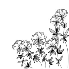 Fototapeta premium Floral print. Vector illustration. Flowers.