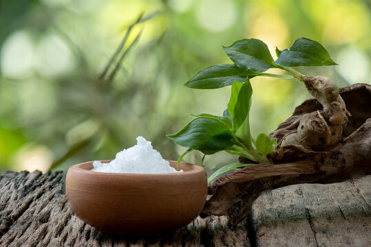 Borneolum Syntheticum, white crystal and sand ginger, trees on nature background.