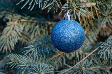 Christmas toy, blue ball on blurred background of Christmas tree branches. Close-up. Real winter in garden. Selective focus. There is place for your text