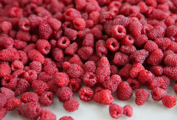Raspberry berries background. Garden raspberry.