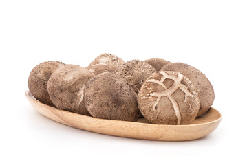 Fresh shiitake Mushroom isolated on white background.
