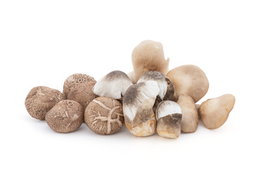 Fresh abalone ,volvariella volvacea and shiitake mushroom isolated on white background with clipping path.