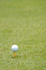 white golf ball on tee on green grass of golf course