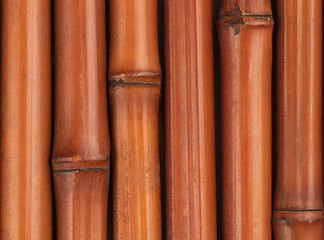 Old bamboo wood isolated on white background.