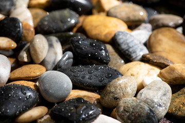Water droplets on a multicolored stone