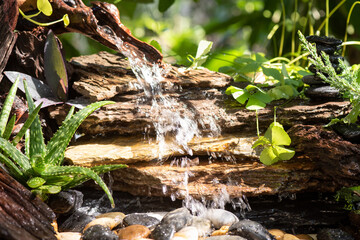 Waterfall and plant on nature background.