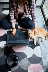 Woman searching vet website on laptop to register cat for veterinary consultation