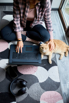 Woman Searching Vet Website On Laptop To Register Cat For Veterinary Consultation