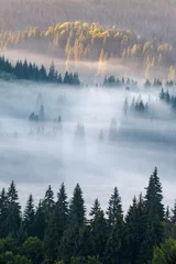 Foto auf Acrylglas Wald im Nebel Autumn morning in Apuseni Mountains 