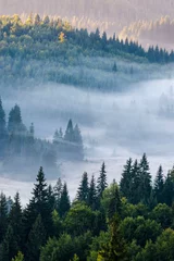 Selbstklebende Fototapete Wald im Nebel Herbstmorgen im Apuseni-Gebirge