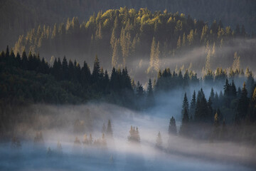 Autumn morning in Apuseni Mountains 