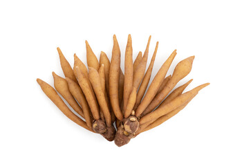 Fingerroot or galingale rhizome isolated on white background with clipping path.top view,flat lay.