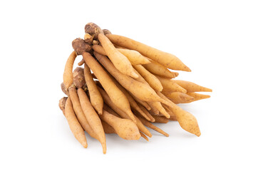 Fingerroot or galingale rhizome isolated on white background with clipping path.