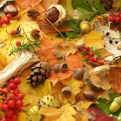 Jesienne barwy w liściach i drzewach © Pio Si