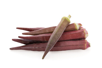 Burgundy okra or okra isolated on white background with clipping path.
