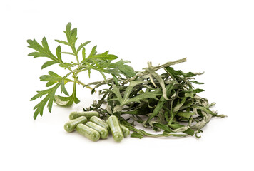 Alternative medicine with mugwort or artemisia annua isolated on white background.