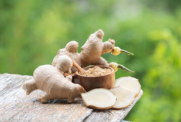 Ginger rhizome isolated on nature  background. © wasanajai
