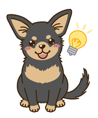 思い付くチワワ（ブラックタン）