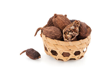 Black cardamom or amomum subulatum isolated on white background with clipping path.