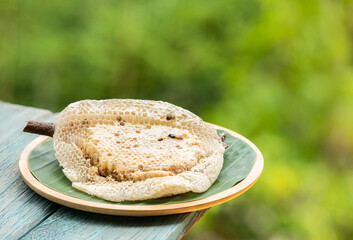 Honey and honeycomb on nature background.