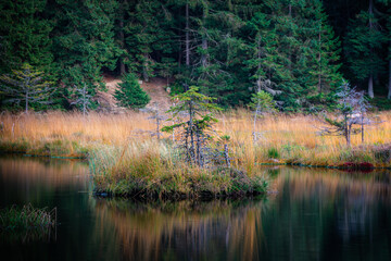 Kleiner Arbersee Bayerischer Wald