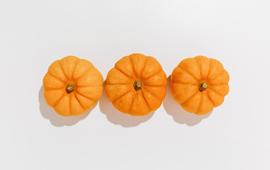 Fresh ripe orange pumpkins on white background. Space for text mockup Halloween concept