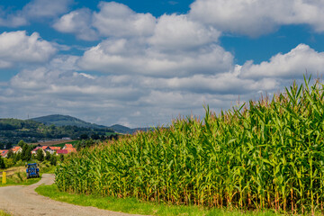 Spätsommerliche Getreideernte bei Schmalkalden - Thüringen - Deutschland