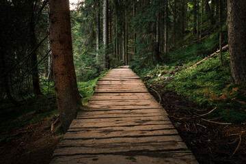 Obraz premium Kleiner Arbersee Bayerischer Wald