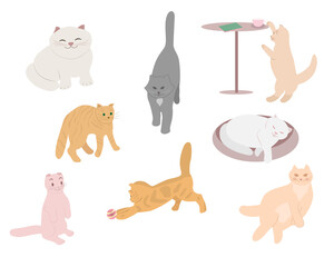 A set of cute cats in different poses. Vector illustration.