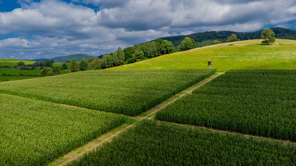 Spätsommerliche Getreideernte bei Schmalkalden - Thüringen - Deutschland © Oliver Hlavaty
