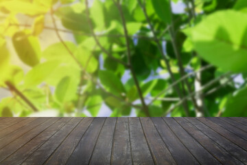 Empty wood floor and kratom or mitragyna speciosa branch green leaves background.