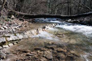 View of Zhane river with a log above mountain it on sunny winter day. Gelendzhik, Krasnodar Krai, Caucasus, Russia.
