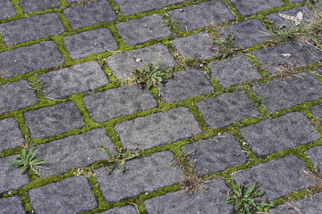 The paving in the city park