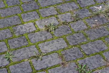 The paving in the city park