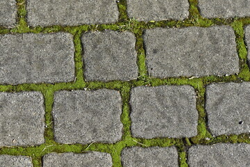The paving in the city park