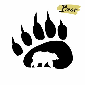 Drawing of a bear's paw